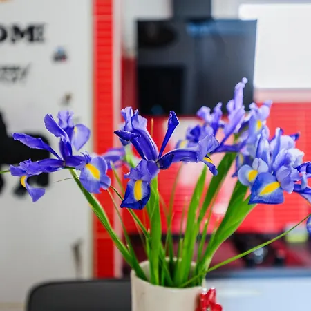 Fancy - Near The Bridge * זאדאר