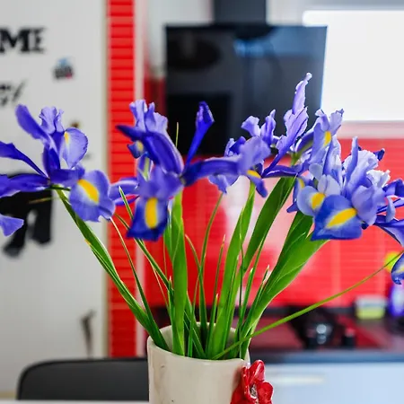 Fancy - Near The Bridge דירה *